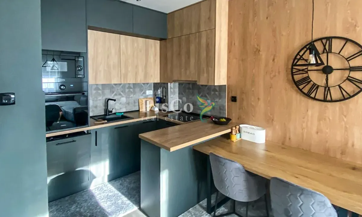 Rent, one bedroom apartment, 47m², Ljubović, Podgorica