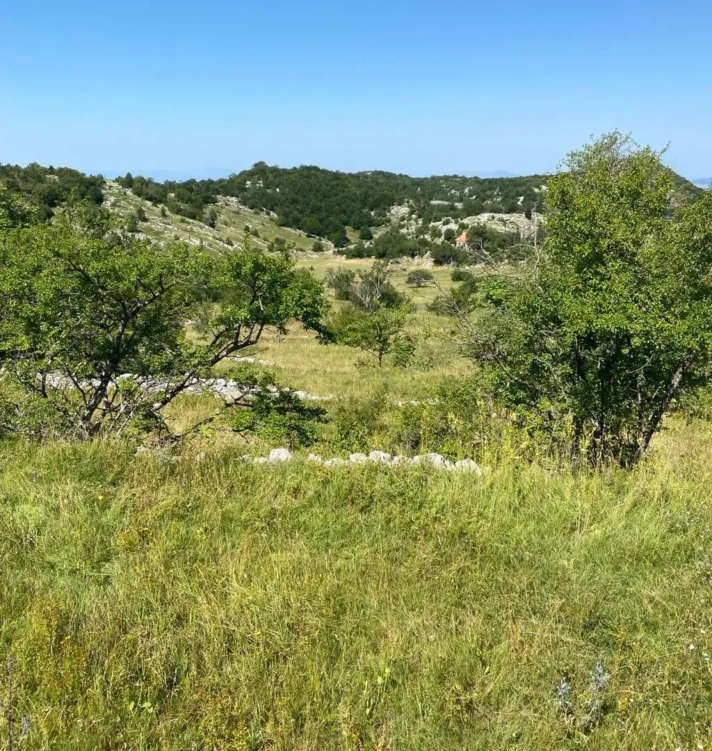 Sale, land lot, 30000m², Kuči, Podgorica