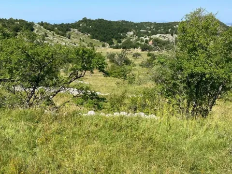 Sale, land lot, 30000m², Kuči, Podgorica - image 7