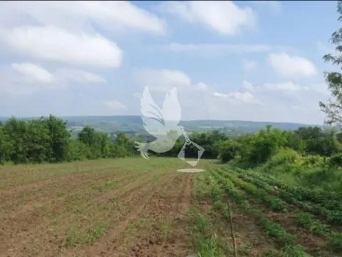 Prodaja, kuća, 60m², Dučina, Sopot - image 4