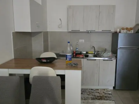 Izdavanje, jednosoban stan, 48m², Stari Aerodrom, Podgorica - image 2