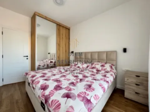 Izdavanje, jednosoban stan, 45m², Stari Aerodrom, Podgorica - image 2