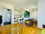 Izdavanje, dvosoban stan, 40m², Petrovaradin, Novi Sad - image 2