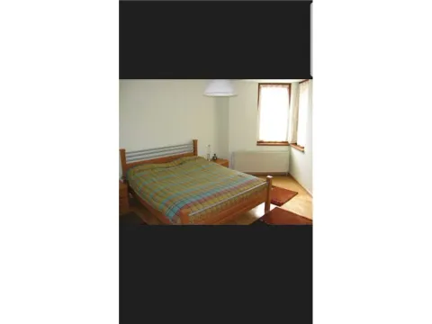 Izdavanje, kuća, 500m², Pantelej, Niš - image 9