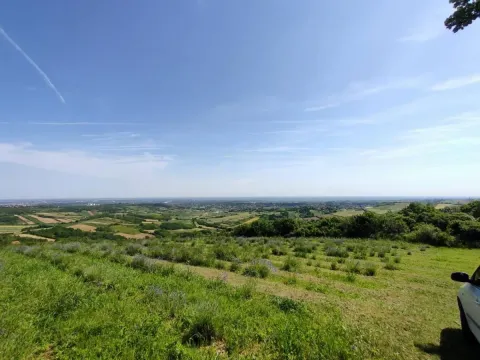 Prodaja, plac, 5600m², Novi Sad, Srbija - image 7