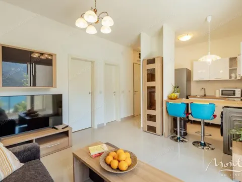 Sale, one bedroom apartment, 36m², Risan, Kotor - image 2