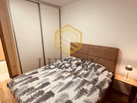 Izdavanje, jednosoban stan, 45m², City Kvart, Podgorica - image 10