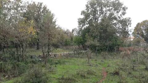 Prostran plac okružen drvećem i zelenilom. - image 3