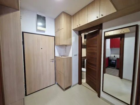 Izdavanje, jednosoban stan, 54m², Stara Varoš, Podgorica - image 11