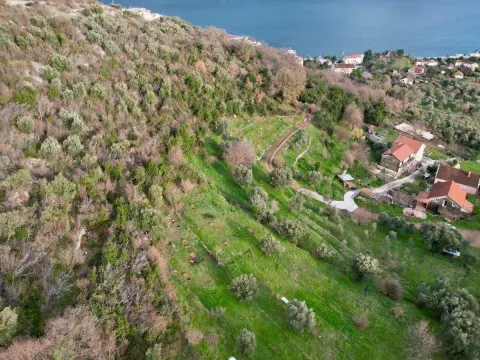 Prodaja, plac, 750m², Herceg Novi, Crna Gora - image 9