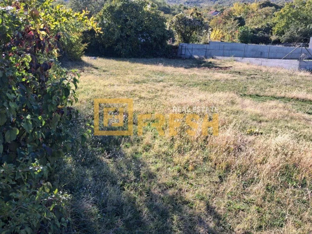Pogled na zeleno dvorište i travnjak sa drvećem.