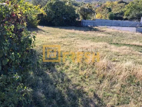 Pogled na zeleno dvorište i travnjak sa drvećem. - image 2