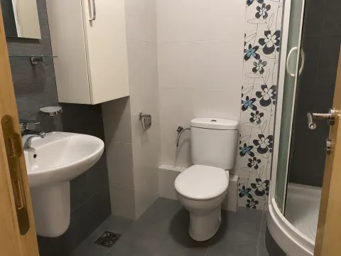 Rent, one bedroom apartment, 45m², Stari Aerodrom, Podgorica - image 8