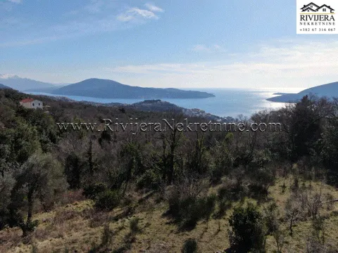 Sale, land lot, 2958m², Trebesinj, Herceg Novi - image 3