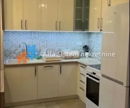 Izdavanje, stan, 41m², Vračar Sve Podlokacije, Beograd - image 5