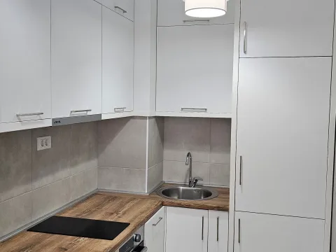 Rent, one bedroom apartment, 35m², Ljubović, Podgorica - image 1