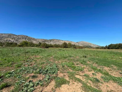 Prodaja, plac, 9569m², Botun, Podgorica - image 3