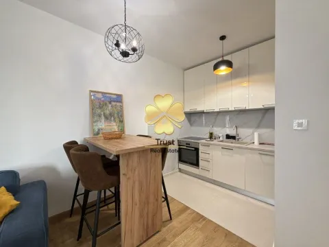 Rent, one bedroom apartment, 50m², City Kvart, Podgorica - image 4