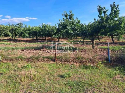 Sale, land lot, 4400m², Vrčin, Grocka - image 4