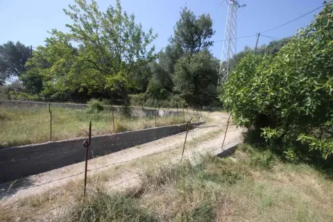 Zemljište sa prilaznim putem i betonskim zidom okruženo drvećem. - image 9