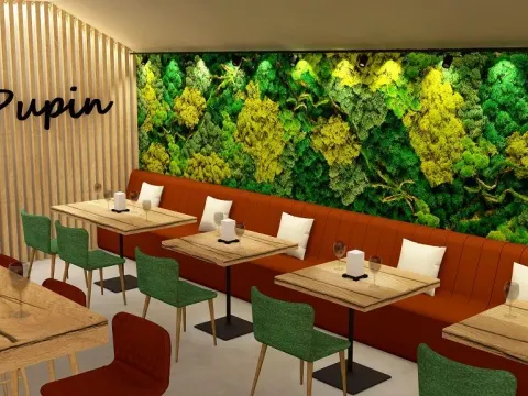 Izdavanje, poslovni prostor, 350m², Zemun Sve Podlokacije, Beograd - image 4