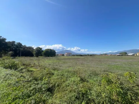 Sale, land lot, 7430m², Novo Selo, Danilovgrad - image 3