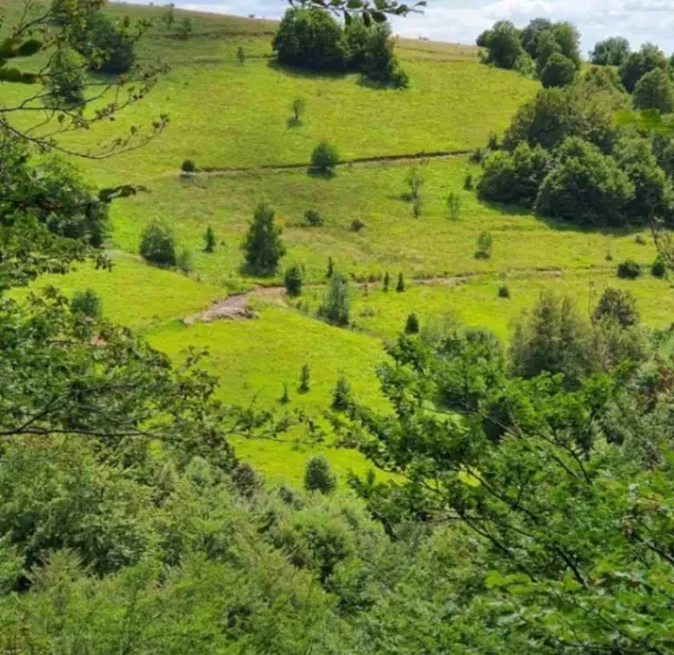Prodaja, plac, 1612m², Ćuštica, Knjaževac