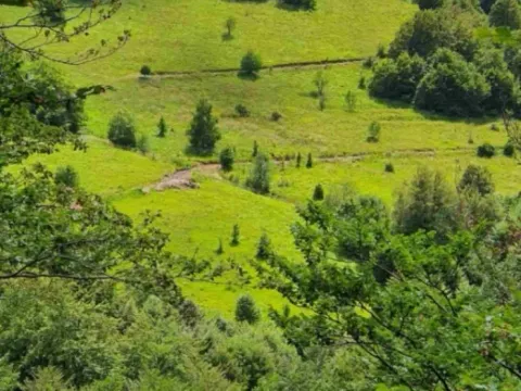 Sale, land lot, 1612m², Ćuštica, Knjaževac