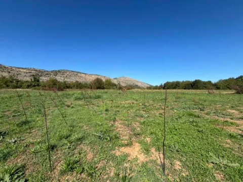 Sale, land lot, 9569m², Botun, Podgorica - image 5