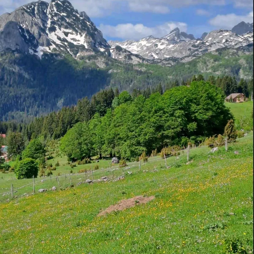 Prodaja, plac, 4406m², Pitomine, Žabljak