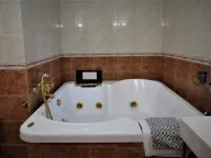 Izdavanje, kuća, 450m², Savski Venac, Beograd - image 17