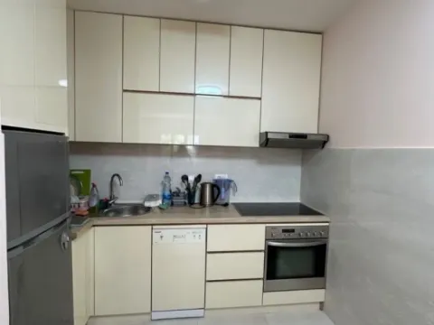 Izdavanje, jednosoban stan, 50m², Central Point, Podgorica - image 2