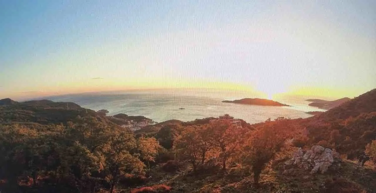 Prodaja, plac, 10000m², Pržno, Budva