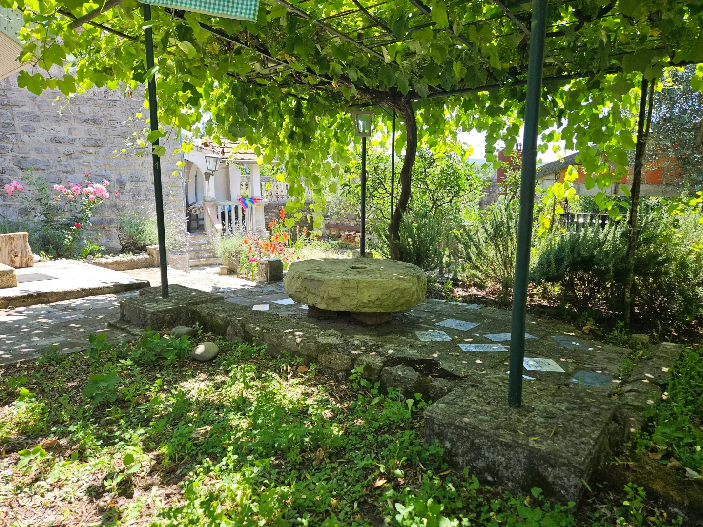 House yard with a stone table and natural shade from a grapevine.
