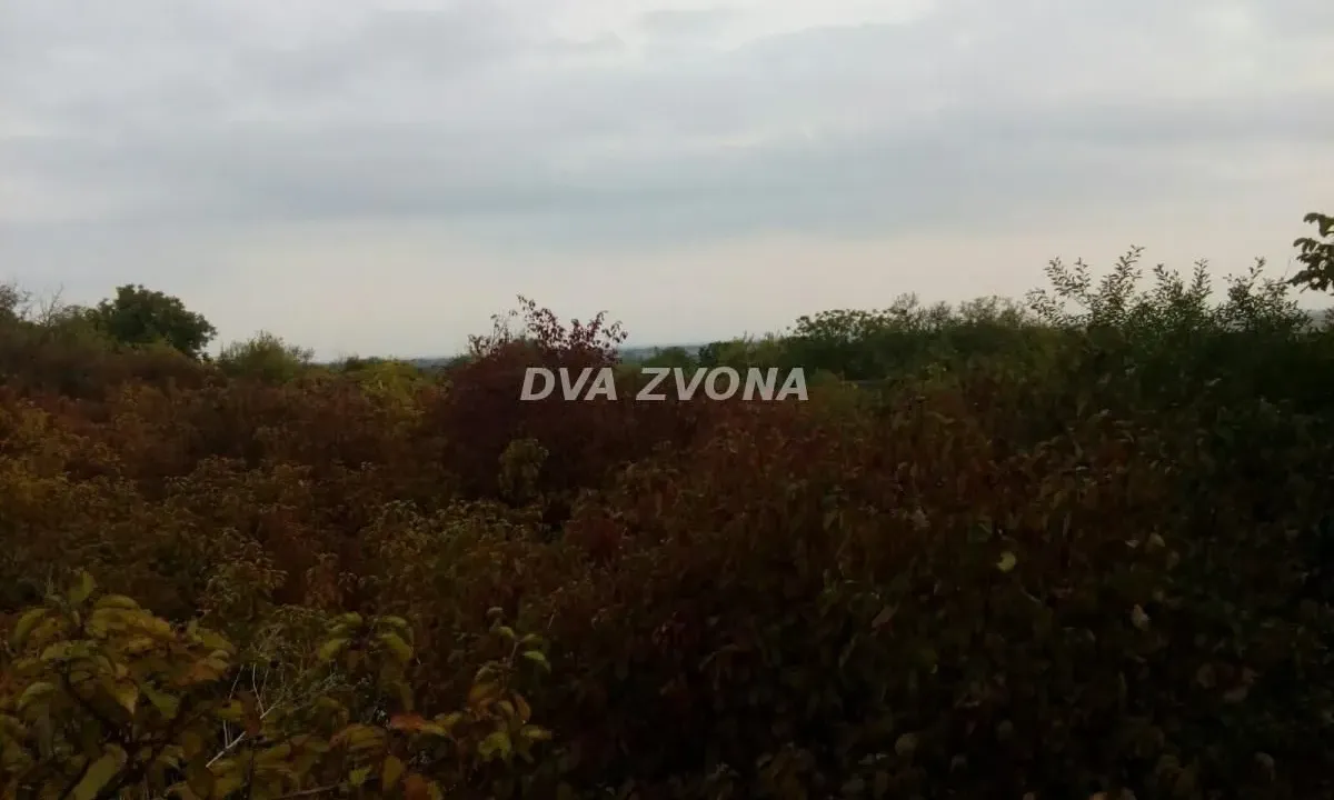 Prodaja, plac, 5700m², Novi Slankamen, Inđija