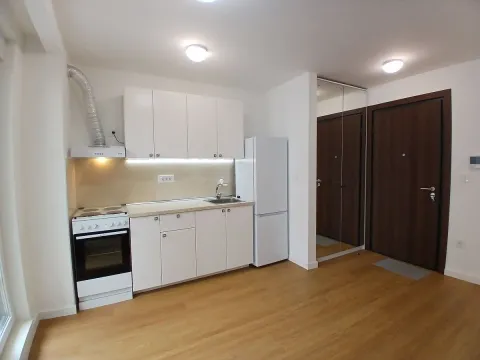 Rent, one bedroom apartment, 31m², Šumice, Beograd - image 10