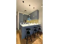 Izdavanje, dvosoban stan, 48m², Hala Pionir, Palilula Sve Podlokacije - image 4