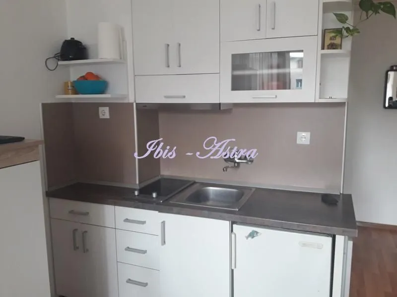 Izdavanje, stan, 23m², Cvijićeva, Palilula Sve Podlokacije