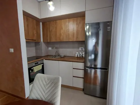 Izdavanje, stan, 45m², Zagorič, Podgorica - image 3