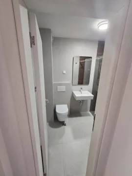 Pogled na moderno uređeno kupatilo sa umivaonikom i toaletom. - image 15