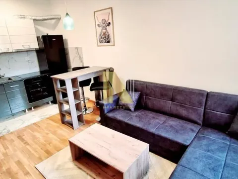 Izdavanje, garsonjera, 29m², Avijatičarsko naselje, Novi Sad Sve Podlokacije - image 5