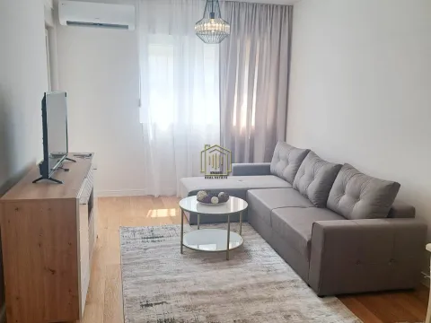 Izdavanje, jednosoban stan, 46m², Central Point, Podgorica - image 1