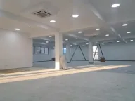 Izdavanje, poslovni prostor, 3300m², Altina, Beograd - image 4