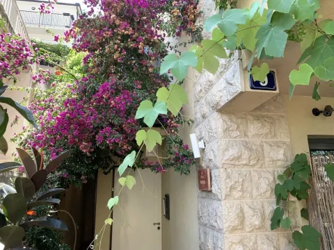 Prodaja, kuća, 280m², Centar, Budva - image 3