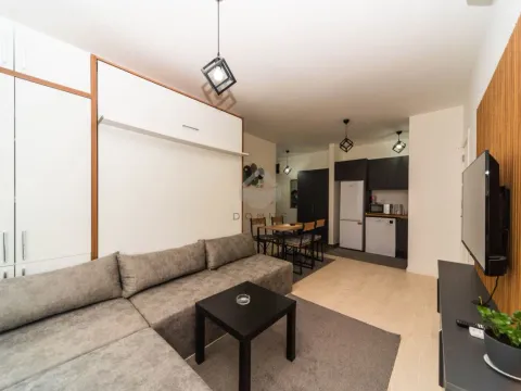 Izdavanje, jednosoban stan, 40m², Krivi Most, Podgorica - image 2