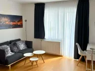 Izdavanje, jednosoban stan, 32m², Adamovićevo Naselje, Novi Sad Sve Podlokacije - image 1