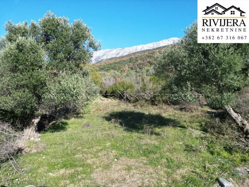 Prodaja, plac, 551m², Mojdež, Herceg Novi