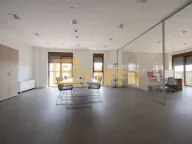 Izdavanje, poslovni prostor, 178m², Preko Morače, Podgorica - image 6