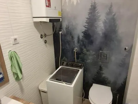 Rent, one bedroom apartment, 43m², Podbara, Novi Sad Sve Podlokacije - image 11