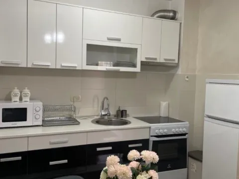 Izdavanje, jednosoban stan, 45m², Stari Aerodrom, Podgorica - image 4